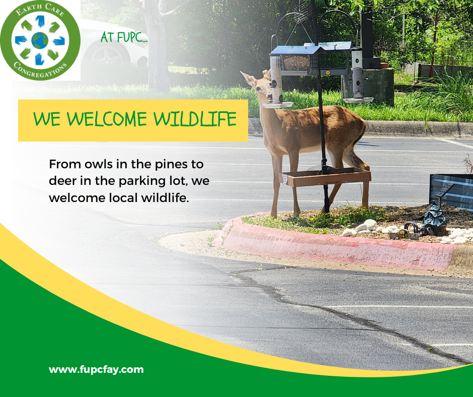 We welcome wildlife